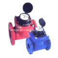 Bulk Water Meter (100WD)